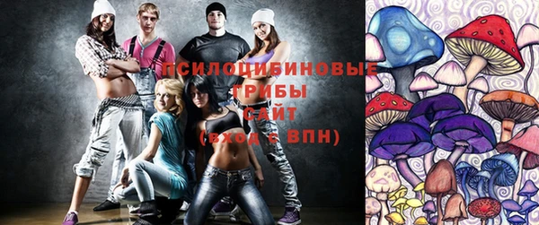 крисы Вязники