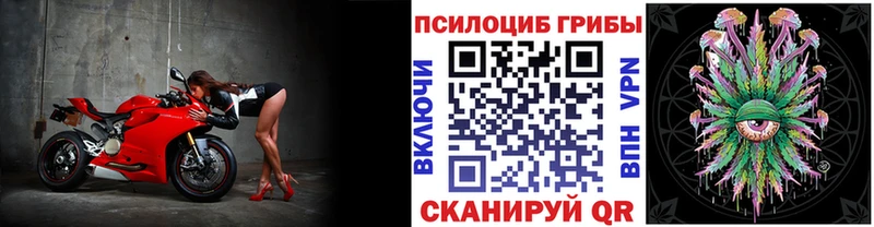 Псилоцибиновые грибы Psilocybe  что такое наркотик  Саранск 